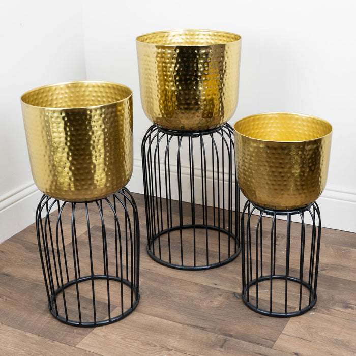 Nisha S/3 Planters Gold/black