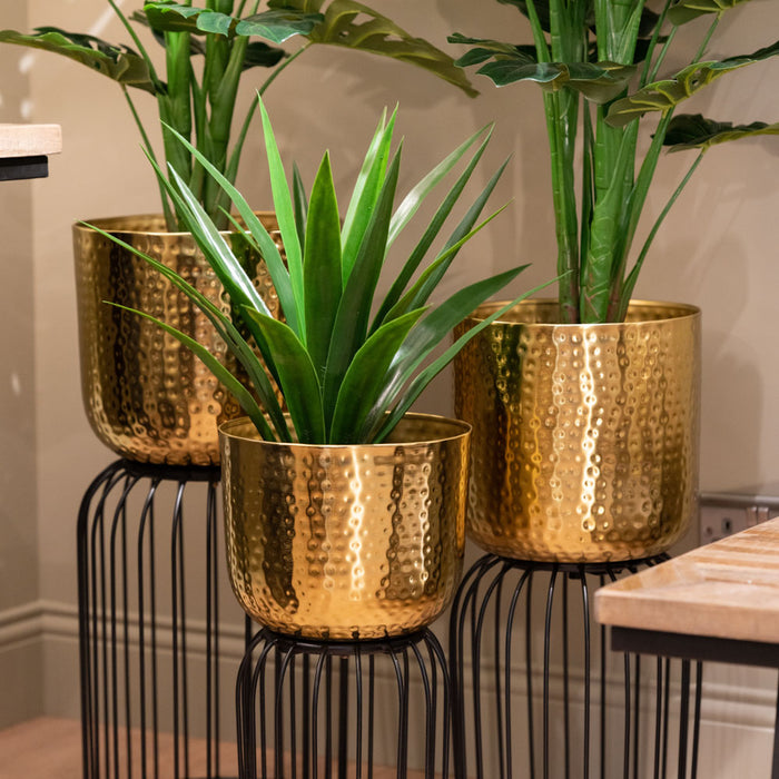 Nisha S/3 Planters Gold/black