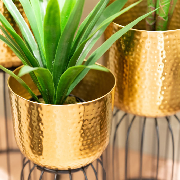 Nisha S/3 Planters Gold/black