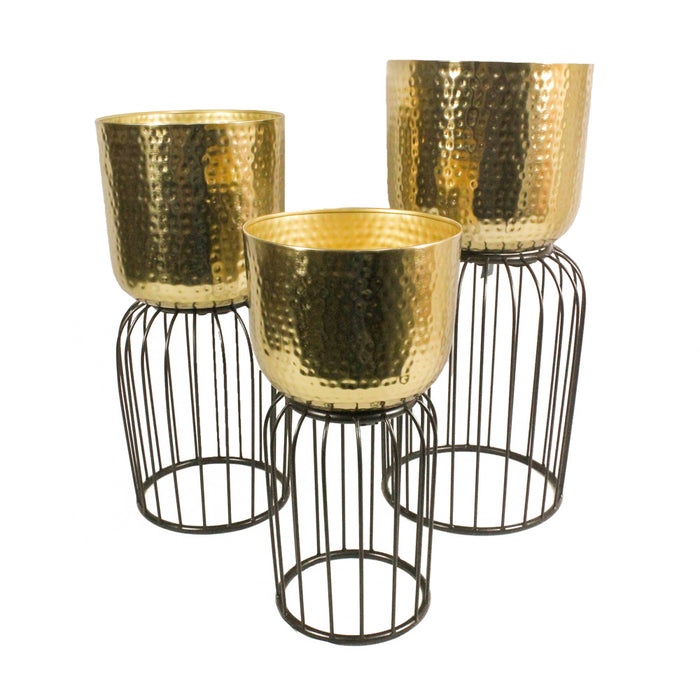 Nisha S/3 Planters Gold/black