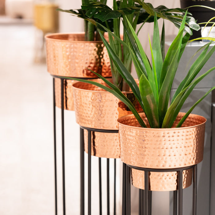 Salina S/3 Planters Copper/black