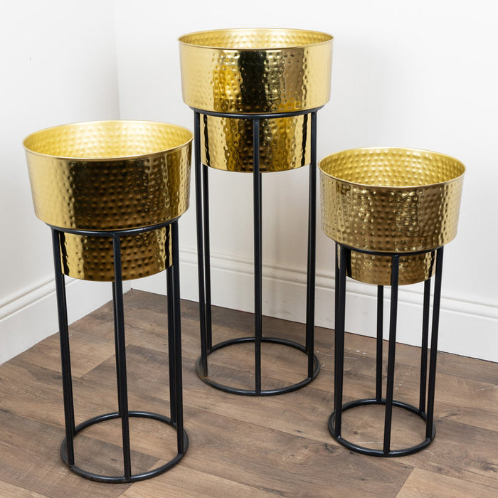 Salina S/3 Planters Gold/black