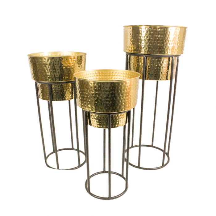 Salina S/3 Planters Gold/black