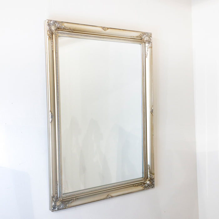 Lyon Mirror 60x90cm Champagne