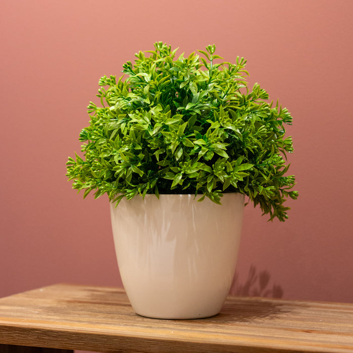 Potted Bonsai Round S/2 Assorted