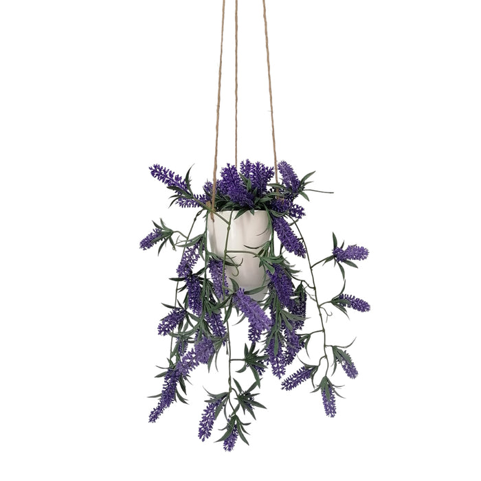 Hanging Lavender Plant With White Pot