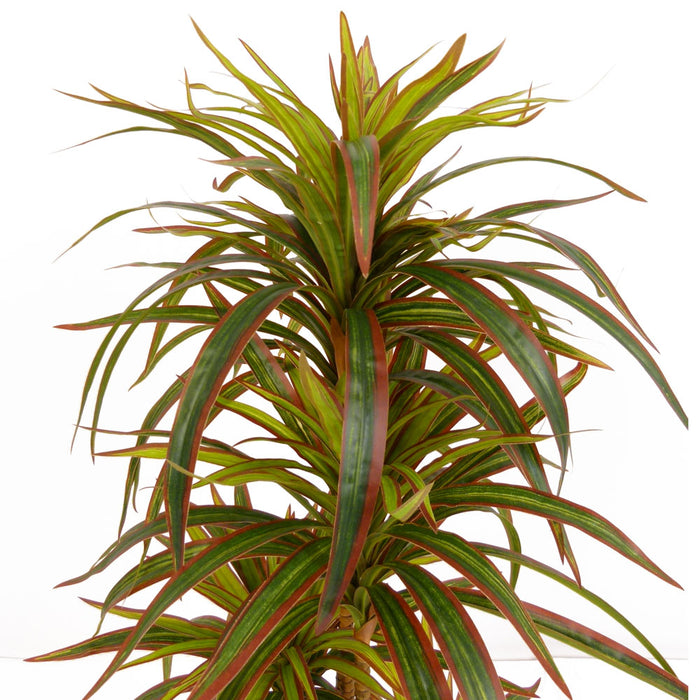 Artificial Chlorophytum Tree Red/green 100cm