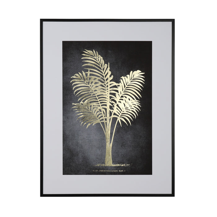 Framed Print Indica Palm 60 X 80cm 2 Asst