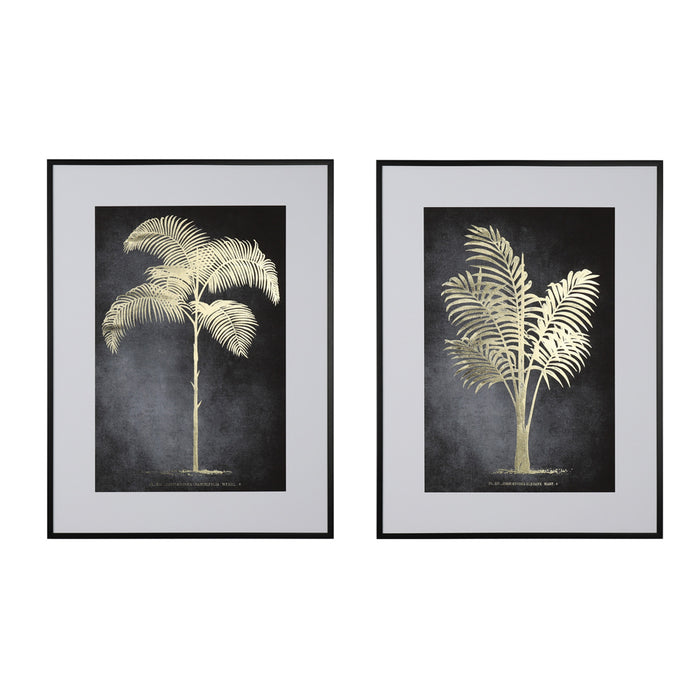 Framed Print Indica Palm 60 X 80cm 2 Asst