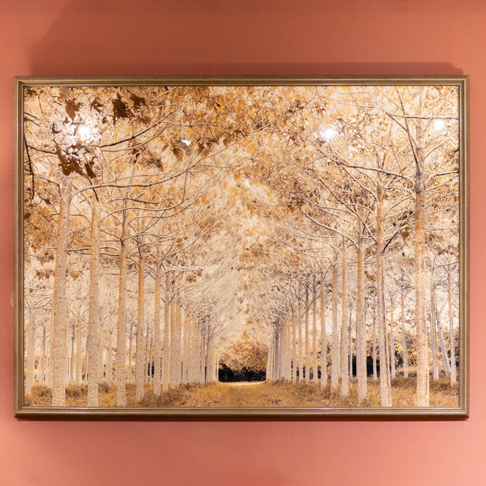 Framed Canvas Gold Rush 150 X 110cm