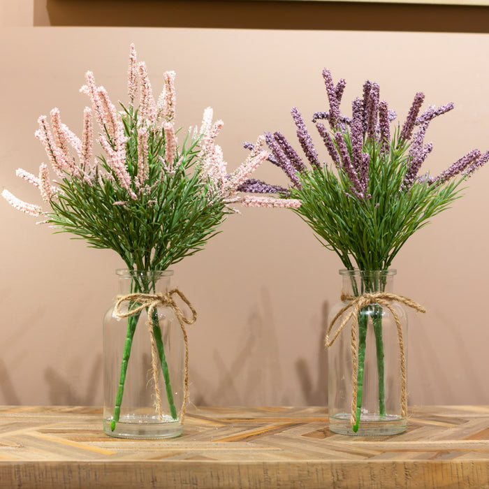 Lavender With Vase Assorted