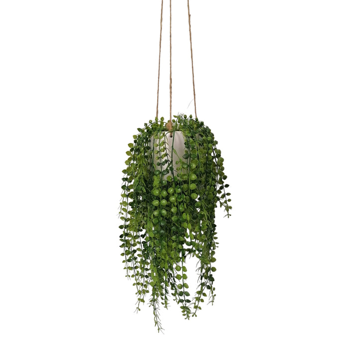 Hanging Necklace Plant With White Pot