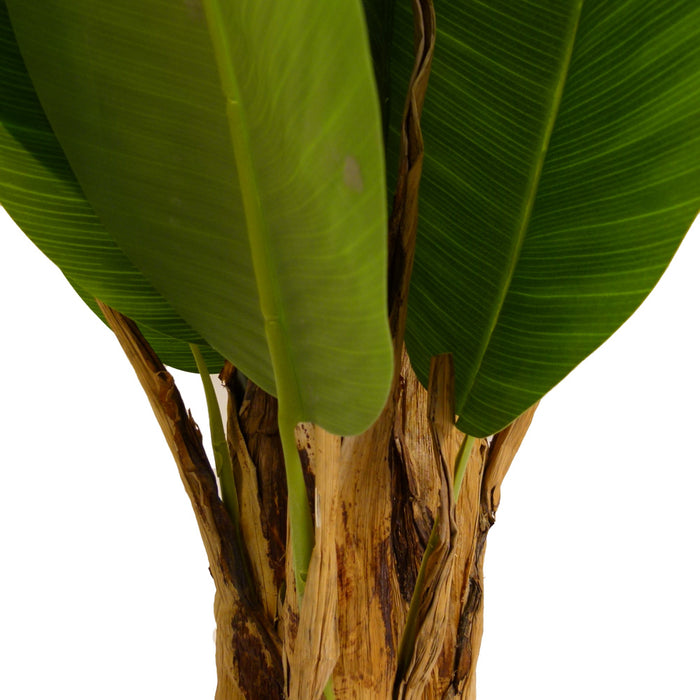 Artificial Banana Tree 120cm