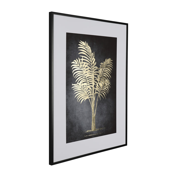 Framed Print Indica Palm 60 X 80cm 2 Asst